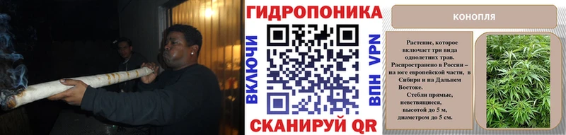 площадка Telegram  Калининец  Бошки марихуана сатива 